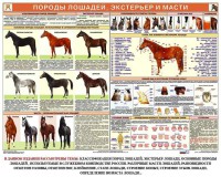 Комплект плакатов "Служебное коневодство" - fgospostavki.ru - Апатиты