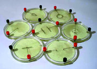 Демонстрационный комплект «Силовые линии электрического поля разных систем зарядов» - fgospostavki.ru - Апатиты