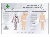 Электрифицированный стенд "Остановка кровотечения" - fgospostavki.ru - Апатиты