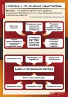 Комплект таблиц. ОБЖ. Здоровый образ жизни. - fgospostavki.ru - Апатиты