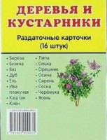Раздаточные карточки "Деревья и кустарники" - fgospostavki.ru - Апатиты