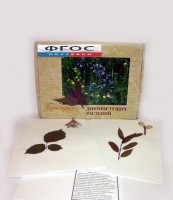 Гербарий "Дикорастущие растения" (28 видов) - fgospostavki.ru - Апатиты