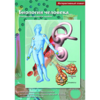 Интерактивные плакаты. Биология человека. Программно-методический комплекс - fgospostavki.ru - Апатиты