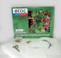 Гербарий "Основные группы растений" (52 листа) - fgospostavki.ru - Апатиты