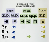 Набор магнитных карточек "Склонение имен существительных" - fgospostavki.ru - Апатиты