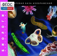 Биология. Микрофотографии. (Цифровая база изображений) - fgospostavki.ru - Апатиты