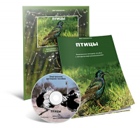 Электронное наглядное пособие «Птицы» - fgospostavki.ru - Апатиты