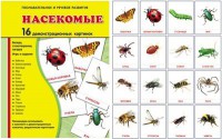 Демонстрационные карточки "Насекомые" - fgospostavki.ru - Апатиты