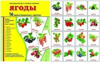Демонстрационные карточки "Ягоды" - fgospostavki.ru - Апатиты