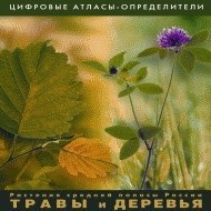 Растения средней полосы России "Травы и Деревья". (Цифровые атласы-определители) - fgospostavki.ru - Апатиты
