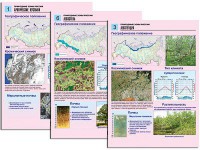 Комплект таблиц по географии "Природные зоны России" раздаточные (цветные, ламинированные, А4, 10 штук) - fgospostavki.ru - Апатиты