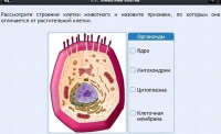Интерактивные курсы. Биология 8 класс. Базовый - fgospostavki.ru - Апатиты
