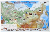 Магнитные карточки "Животные" - fgospostavki.ru - Апатиты