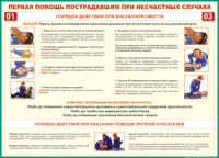 Таблица "Порядок действий при внезапной смерти" (100х140 сантиметров, винил) - fgospostavki.ru - Апатиты