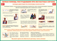 Таблица "Порядок действий при переломах конечностей" (100х140 сантиметров, винил) - fgospostavki.ru - Апатиты
