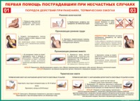 Таблица "Порядок действий при ранениях и термических ожогах" (100х140 сантиметров, винил) - fgospostavki.ru - Апатиты