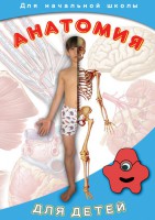 DVD "Анатомия для детей" - fgospostavki.ru - Апатиты
