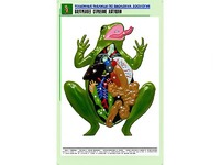 Рельефная таблица "Внутреннее строение лягушки" (формат А1, матовое ламинирование) - fgospostavki.ru - Апатиты
