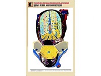 Рельефная таблица "Долька печени. Макро-микростроение" (формат А1, матовое ламинирование) - fgospostavki.ru - Апатиты