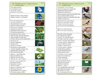 Комплект карточек (10) "Обучающий калейдоскоп. Природа" - fgospostavki.ru - Апатиты