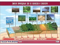 Таблица демонстрационная "Смена природных зон от полюсов к экватору" (винил 70*100) - fgospostavki.ru - Апатиты