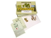 Гербарий "Для начальной школы" (30 видов, с иллюстрациями) - fgospostavki.ru - Апатиты