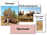 Модель-аппликация "Природные зоны России" (ламинированная) - fgospostavki.ru - Апатиты