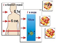 Модель-аппликация "Явление радиоактивности" (ламинированная) - fgospostavki.ru - Апатиты