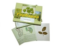 Гербарий "Дикорастущие растения" (30 видов, с иллюстрациями) - fgospostavki.ru - Апатиты