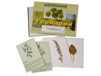 Гербарий "Лекарственные растения" (22 вида с иллюстрациями) - fgospostavki.ru - Апатиты