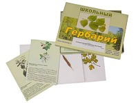 Гербарий "Сельскохозяйственные растения" (30 видов, с иллюстрациями) - fgospostavki.ru - Апатиты