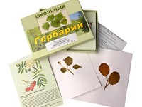Гербарий "Систематика растений. Семейство Розоцветные" (раздаточный) - fgospostavki.ru - Апатиты