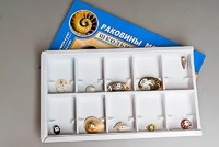 Коллекция "Раковины моллюсков" - fgospostavki.ru - Апатиты