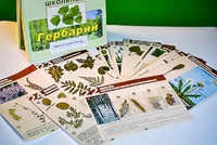 Гербарий к курсу основ общей биологии - fgospostavki.ru - Апатиты