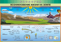 Таблица "Возникновение жизни на земле" (100х140 сантиметров, винил) - fgospostavki.ru - Апатиты