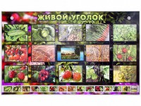 Комплект оборудования "Живой уголок" (растения) с тифлопереводом и сурдокомментариями - fgospostavki.ru - Апатиты
