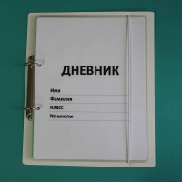 Дневник школьника (с полным набором карточек) - fgospostavki.ru - Апатиты