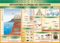 Таблица "Организмы и среды их обитания" (100х140 сантиметров, винил) - fgospostavki.ru - Апатиты