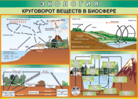 Таблица "Круговорот веществ в биосфере" (100х140 сантиметров, винил) - fgospostavki.ru - Апатиты
