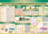 Таблица "Биотические взаимоотношения организмов" (100х140 сантиметров, винил) - fgospostavki.ru - Апатиты