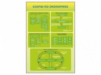 Стенды "Схемы по экономике" - fgospostavki.ru - Апатиты