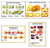 Плакаты ПРОФТЕХ "Ассортимент овощных культур" (12 пл, винил, 70х100) - fgospostavki.ru - Апатиты