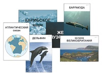Модель-аппликация "Океаны. Знакомство" (ламинированная) - fgospostavki.ru - Апатиты