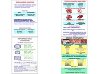 Плакаты ПРОФТЕХ "Классификации и виды мяса" (4 пл, винил, 70х100) - fgospostavki.ru - Апатиты