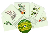 Интерактивный наглядный комплекс "Гербарий "Для начальной школы" - fgospostavki.ru - Апатиты