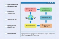 Интерактивные курсы. Информатика 10 класс . Базовый. - fgospostavki.ru - Апатиты