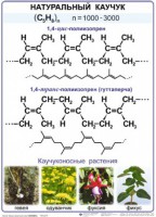 Комплект демонстрационных таблиц по химии "Полимеры" (комплект 12 таблиц) - fgospostavki.ru - Апатиты