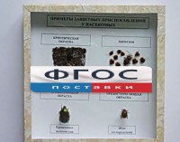 Коллекция энтомологическая "Примеры защитных приспособлений у насекомых" - fgospostavki.ru - Апатиты