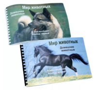 Пособие для слабовидящих - Домашние животные - fgospostavki.ru - Апатиты
