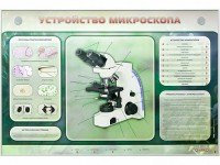 Электрифицированный стенд "Устройство микроскопа и правила работы c ним" - fgospostavki.ru - Апатиты